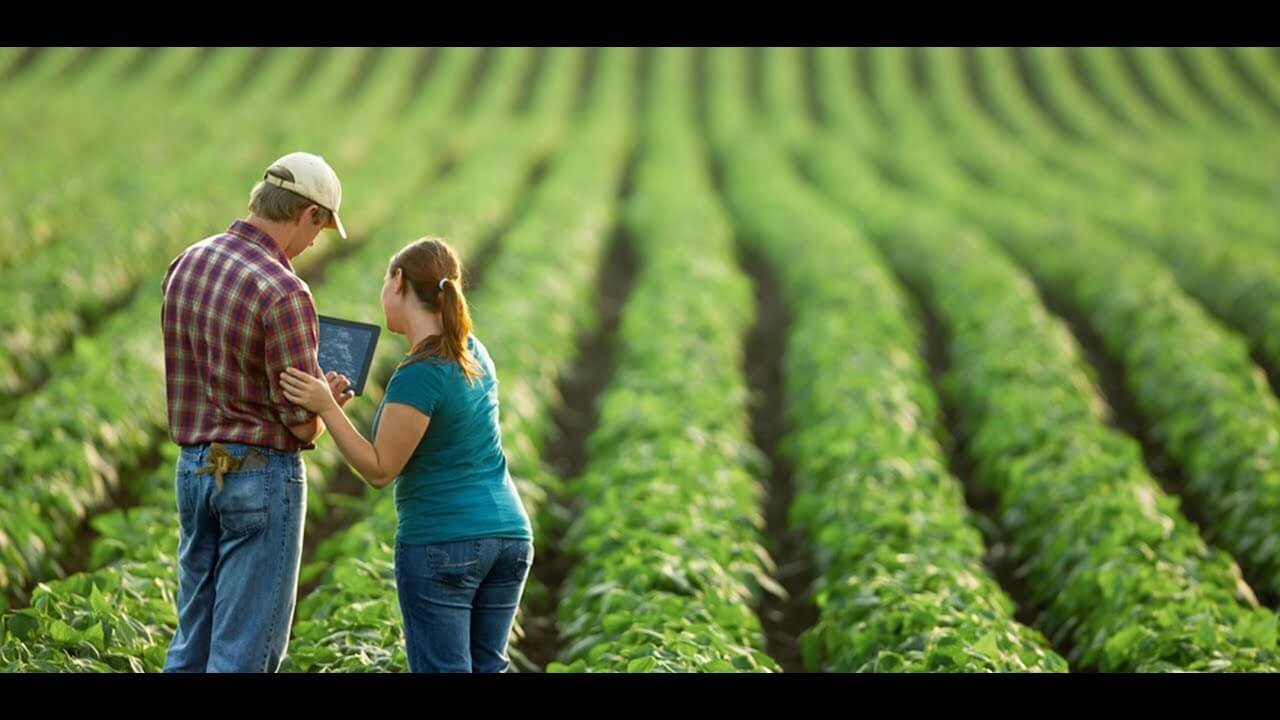 Engenharia Agronômica